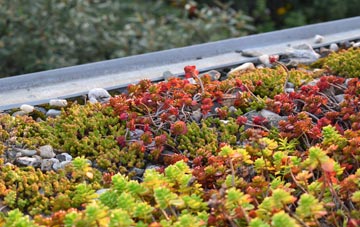the cost of Hooton Pagnell green roof installation