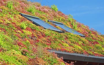 Hooton Pagnell living roof systems